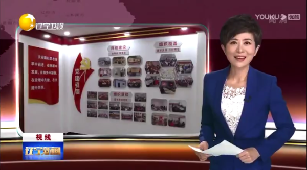 夯實基層黨建，助力振興發(fā)展